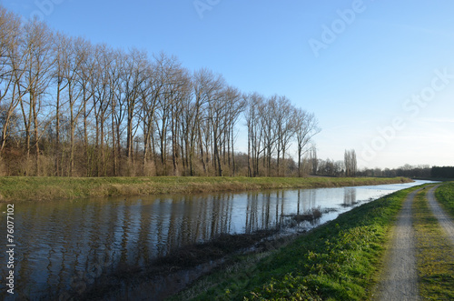 River Zenne in Hombeek lined by trees © lembrechtsjonas
