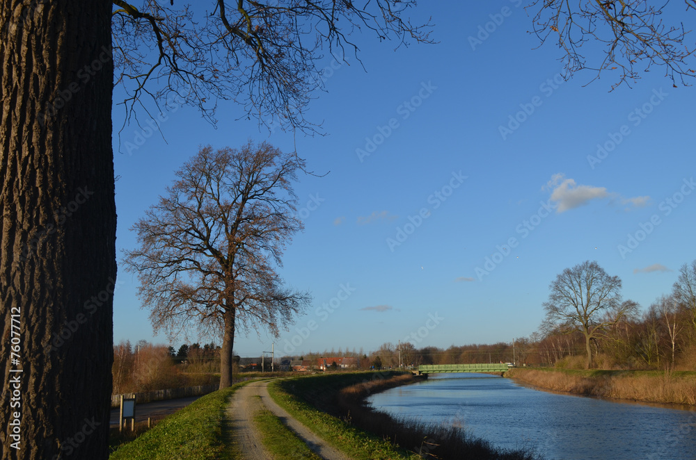 path and tree on river bank