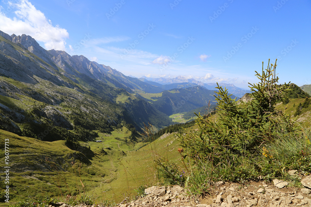 Naklejka premium Montagne