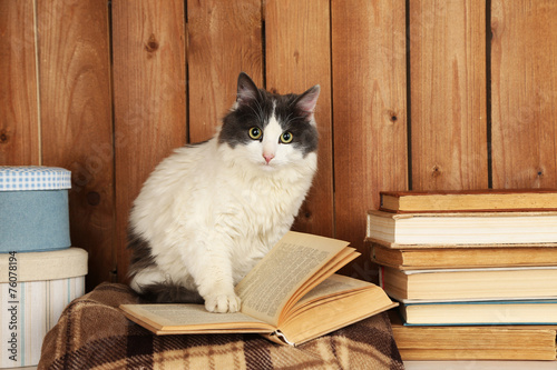 Cute cat sitting with book on plaid