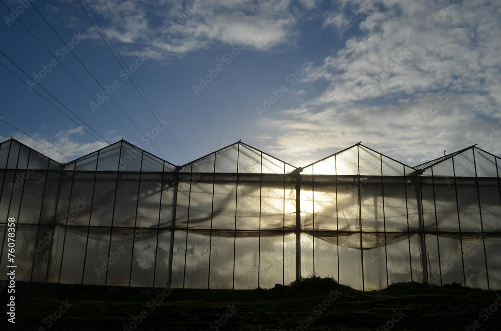 greenhouse in autumn sun greenhouse in autumn sun