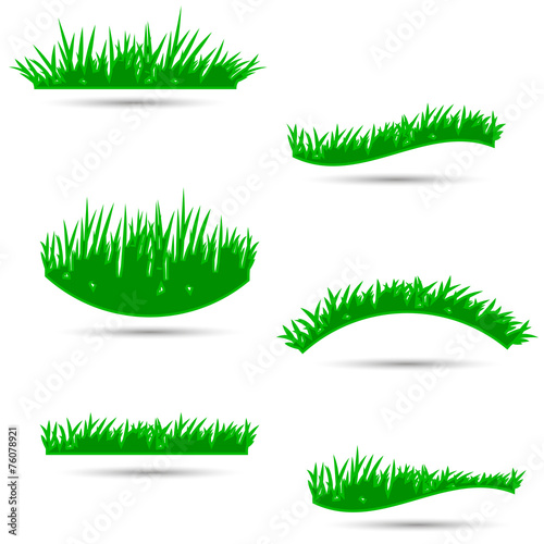 grass, shrubs