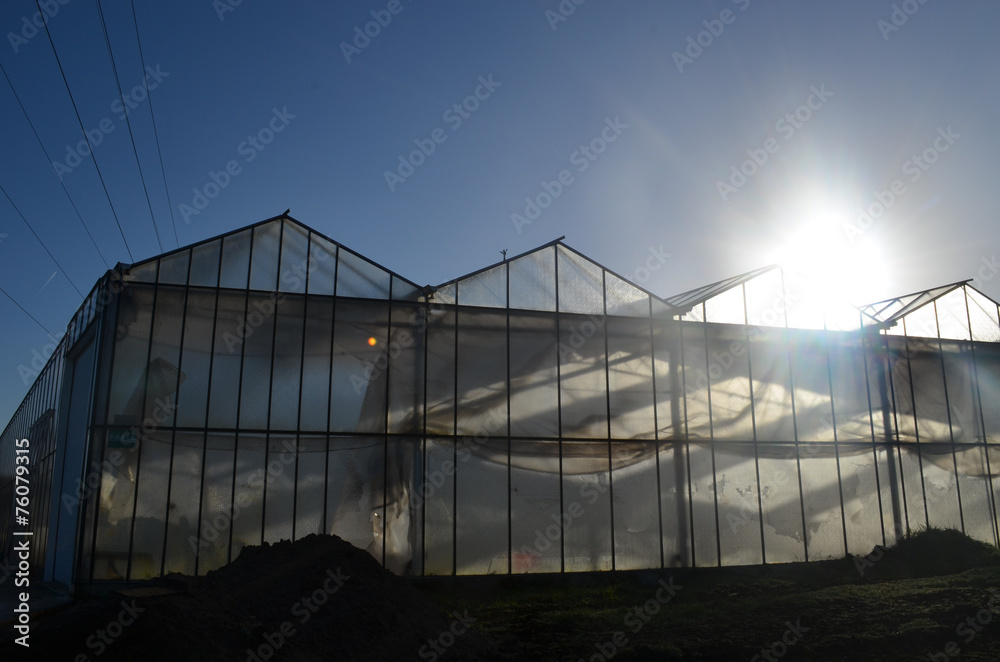 greenhouse in autumn sun