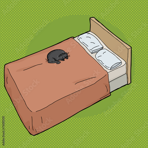 Black Cat on Bed