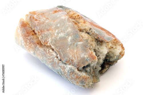Moldy Bread