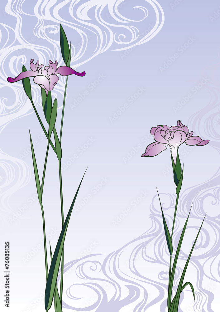 歌川広重 堀切の花菖蒲のイメージイラスト Stock Vector Adobe Stock