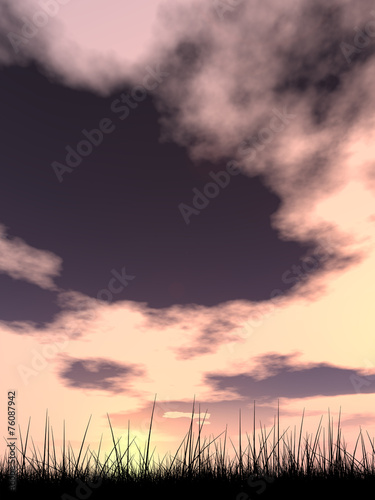Black grass over sky sunset background