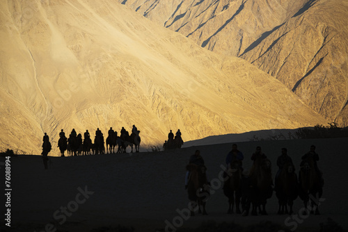 silhouette of caravan travellers riding camels Nubra Valley
