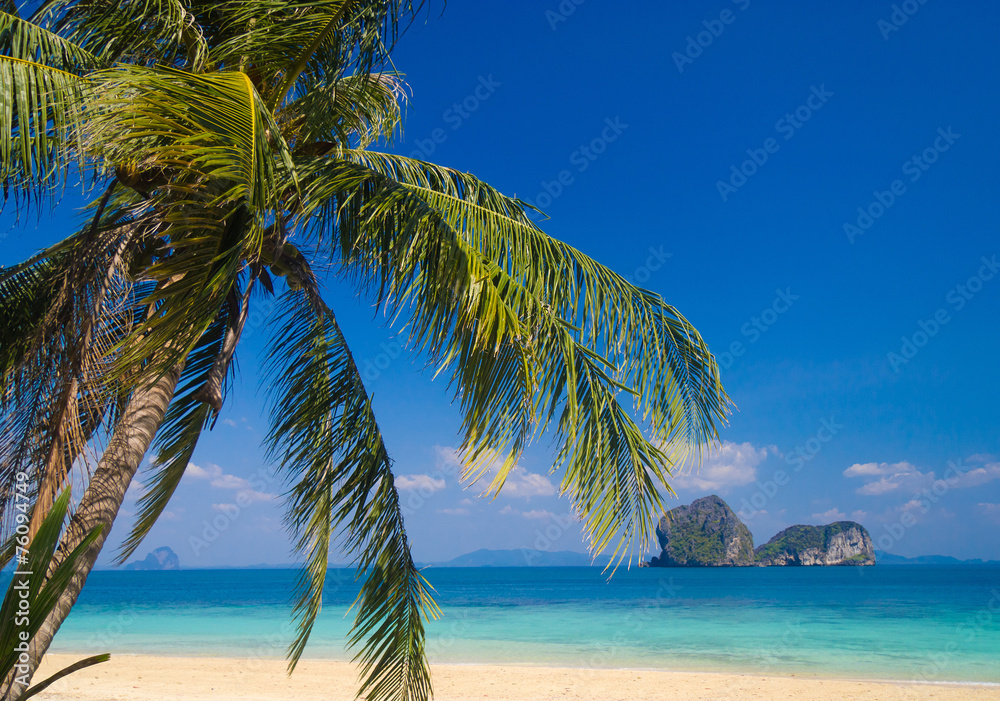 Idyllic Coast Coconut Getaway