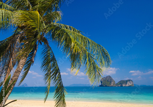 Idyllic Coast Coconut Getaway © alma_sacra