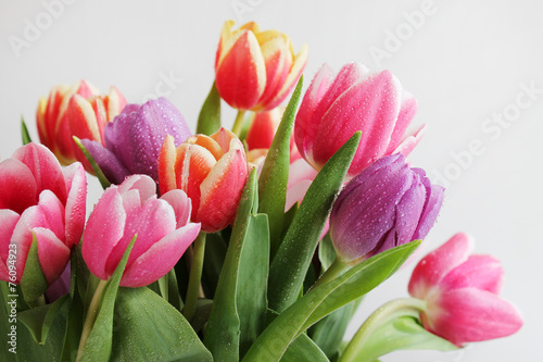 Tulips bouqet