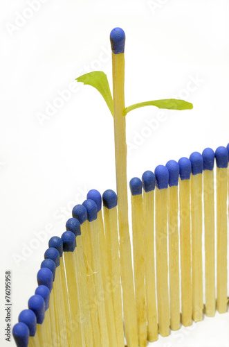 Growing matchstick