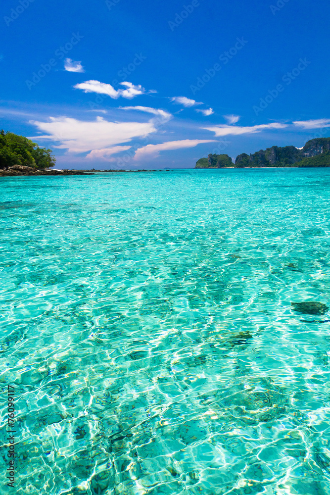 Fototapeta premium Nature And Nobody In a Daydream