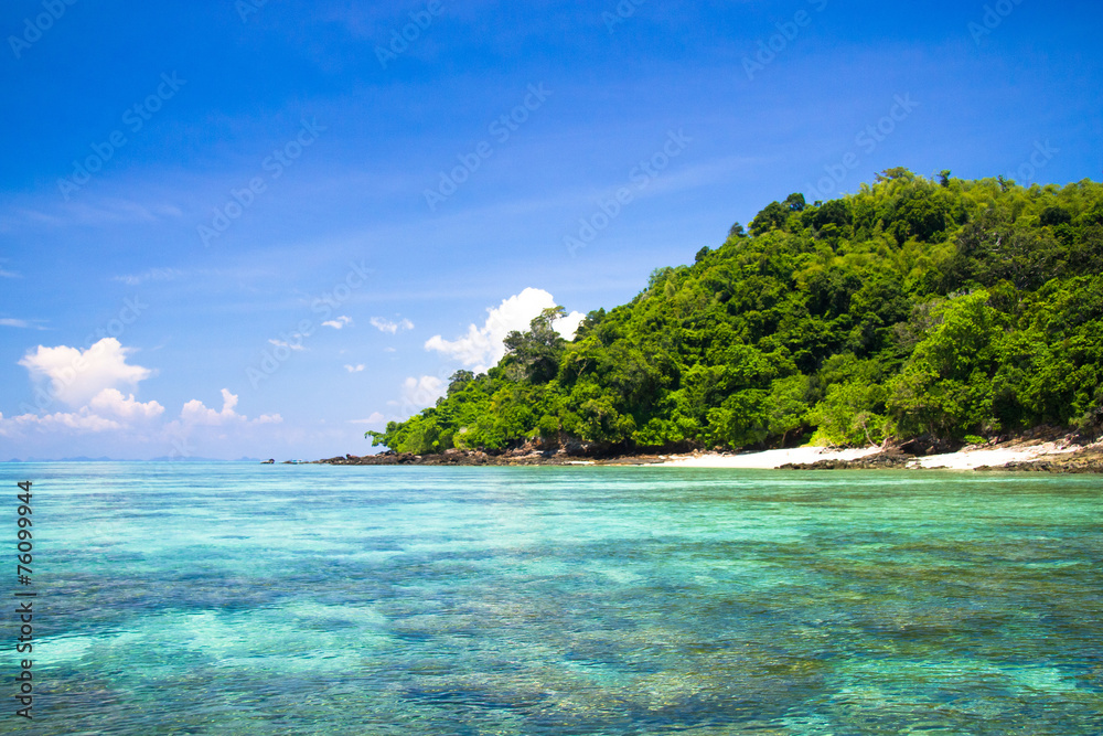 Fototapeta premium Sunshine Coast Hideaway Scene