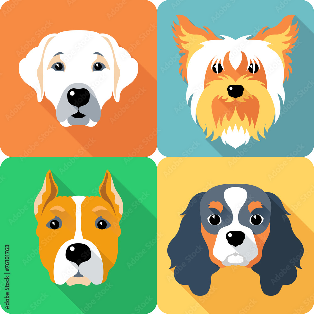 SET dogs icon flat design SET dogs icon flat design
