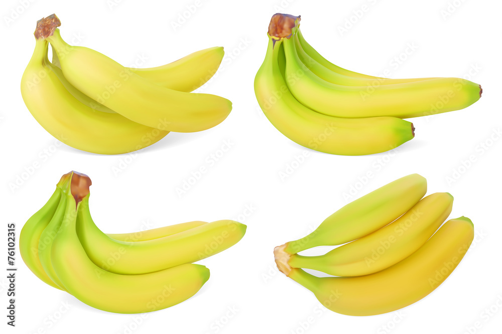 Set of Bananas. Realistic Vector illustration. Isolated on white