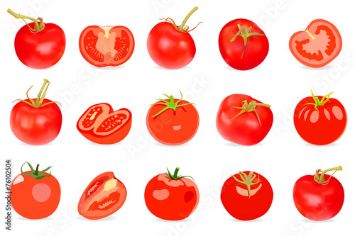 Set of Realistic red Tomatos. Vector illustration. Isolated on w