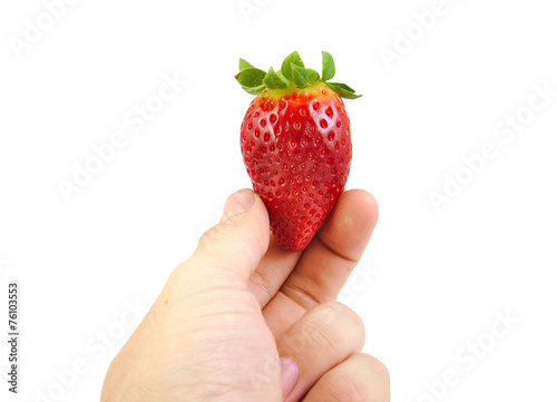 Hand holding a strawberry isolated on white.