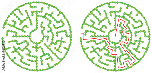 Maze