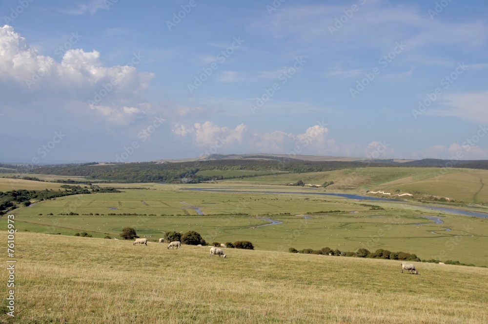 campagne anglaise