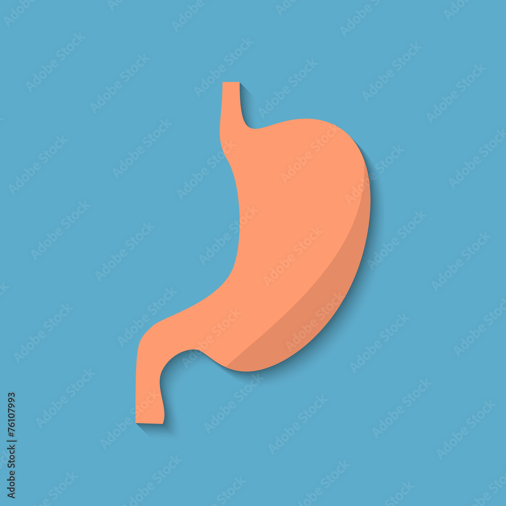 Vector flat belly icon. Vector flat belly icon.