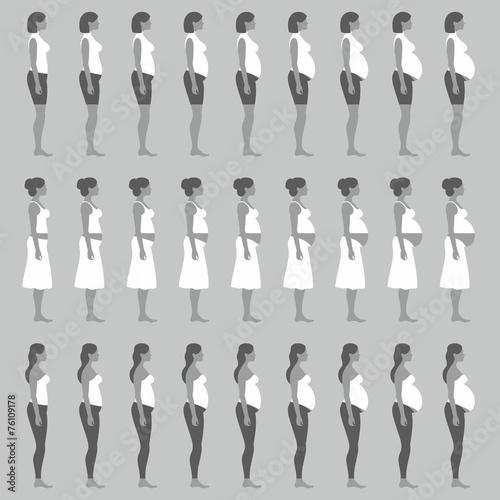 pregnancy stages