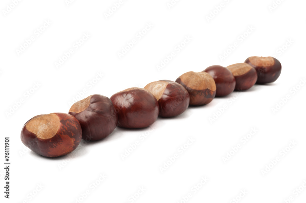 Lined up chestnuts Lined up chestnuts