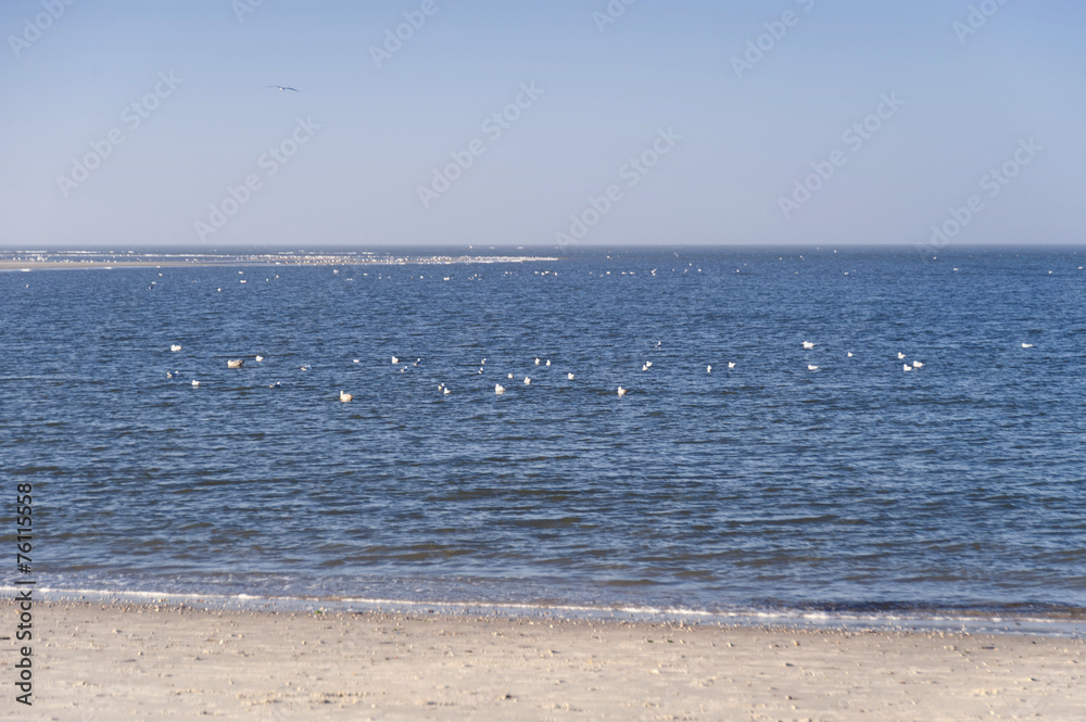 Obraz premium Beach of Amrum