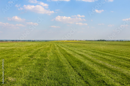 Field on countryside