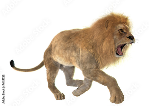 Fototapeta Naklejka Na Ścianę i Meble -  Angry Lion