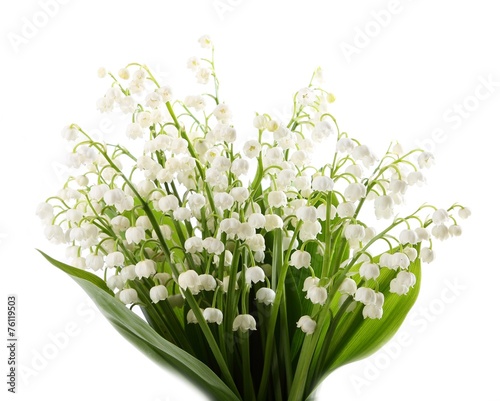 Fototapeta Naklejka Na Ścianę i Meble -  Lily of the valley.