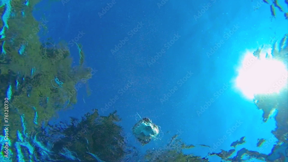 underwater view of man diving into pool