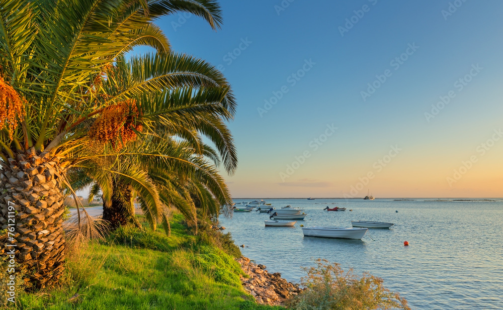 Fishing boats on the sea, palm trees on the beach. Portuguese.