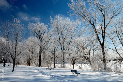 Canadian winter