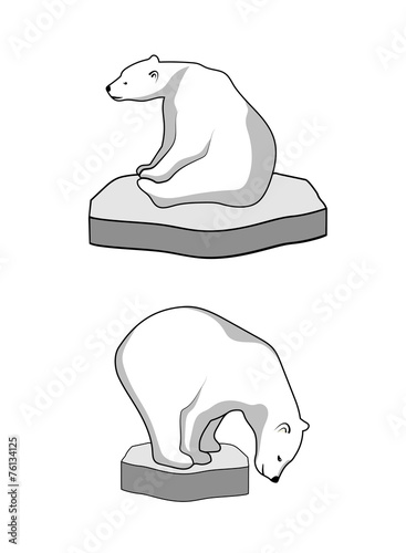 polar bear on an ice floe