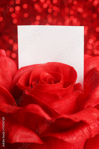 Red rose with blank note