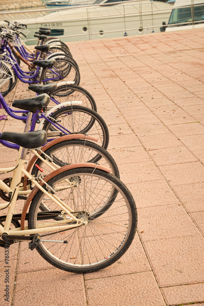 Obraz premium Bicycle rental