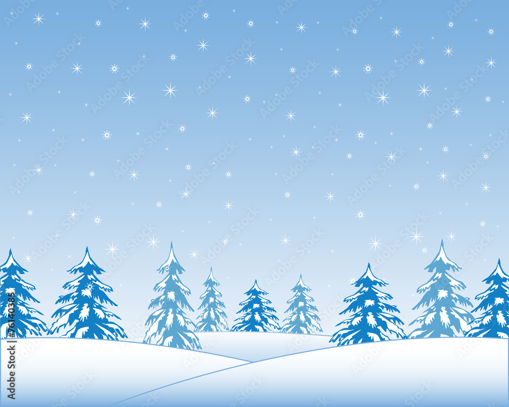Obraz premium Winter wood