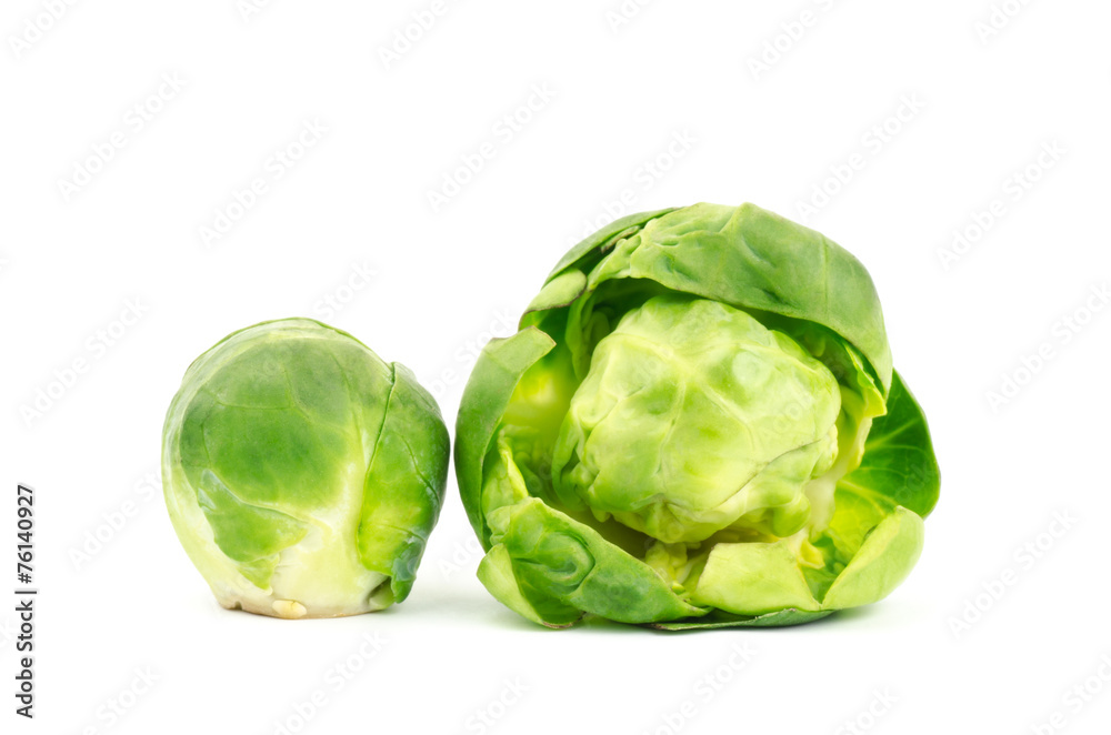 Fototapeta premium Fresh brussels sprout