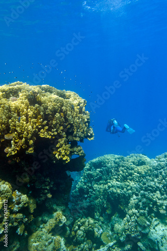 coral reef  and diver in tropical sea  underwater