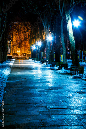 Park at night in winter