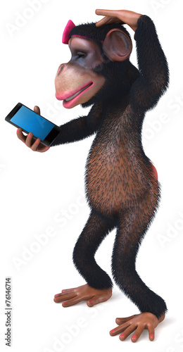 Canvas Print Fun monkey