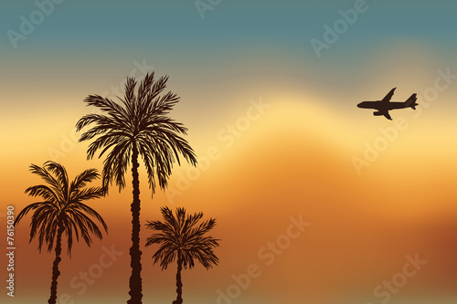 Palm trees and a plane against the sky. Sunset in Goa. © lenkusa