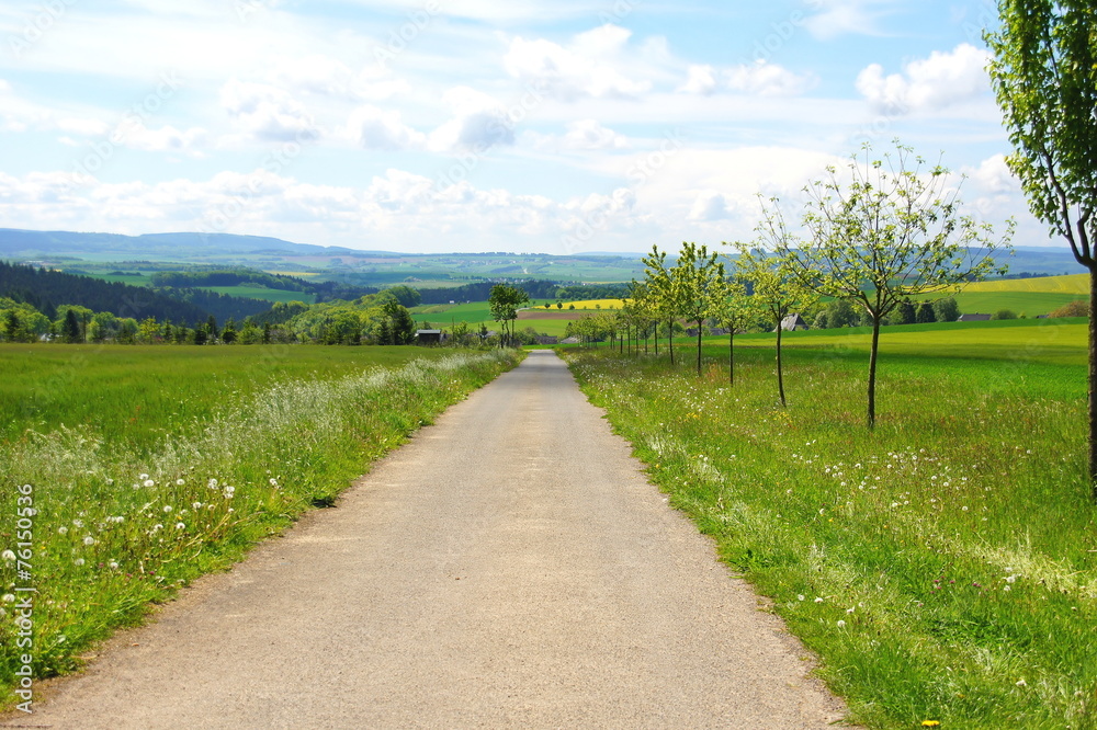 Feldweg nach Heinzerath