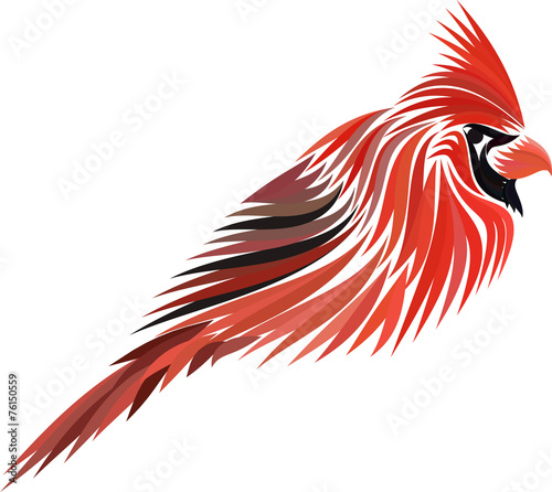 Red Cardinal Isolated