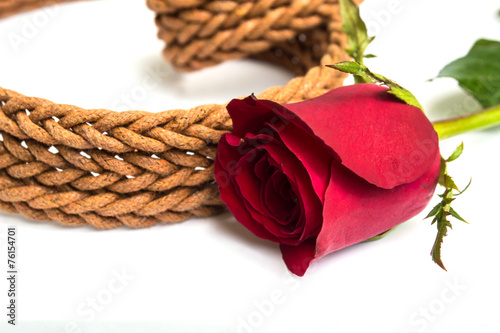 Belt with rose on white background