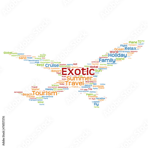 Vector conceptual travel or tourism plane word cloud