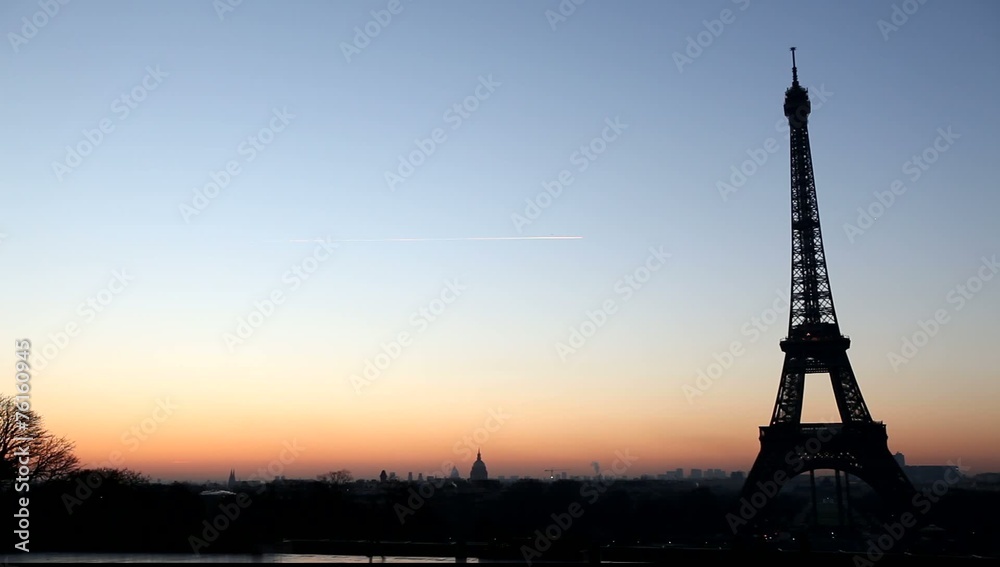 Birds at Eiffel tower at sunrise, Paris