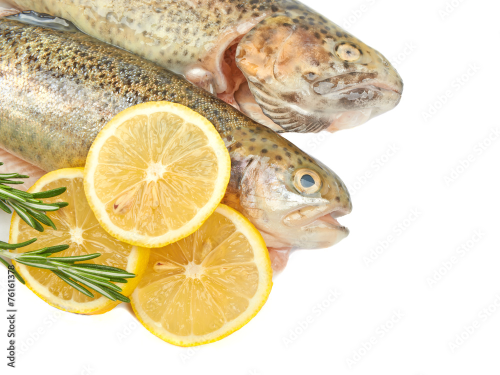 Trout fish with lemon isolated on white background on white back Trout fish with lemon isolated on white background on white back