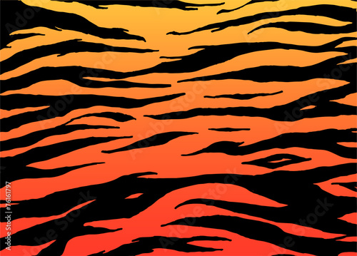 Tiger Skin Animalier Pattern